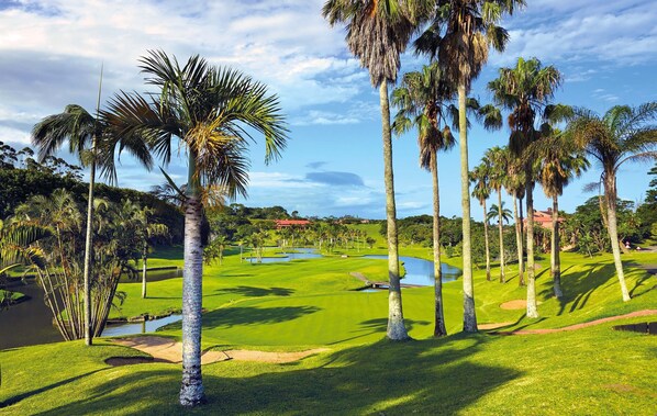 Golf - San Lameer Villa 2026 (Southbroom)