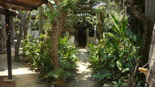 A covered outdoor area with a pathway lined by potted plants and trees. - Caribbean Coral Inn Tela (Tela)