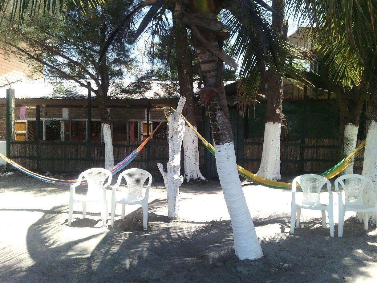 Un paisaje de playa con sillas de plástico blancas, una hamaca y una palmera.