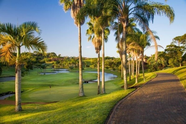 A golf course with a paved walkway, palm trees, and a well-maintained green.