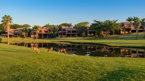 A golf course with multiple buildings, a pond, and deer grazing. - San Lameer Villa Rentals Two Bedroom Standard 1928 (Southbroom)