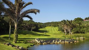 A golf course with a pond, palm trees, and a clear sky. - San Lameer Villa Rentals 1909 (Southbroom)
