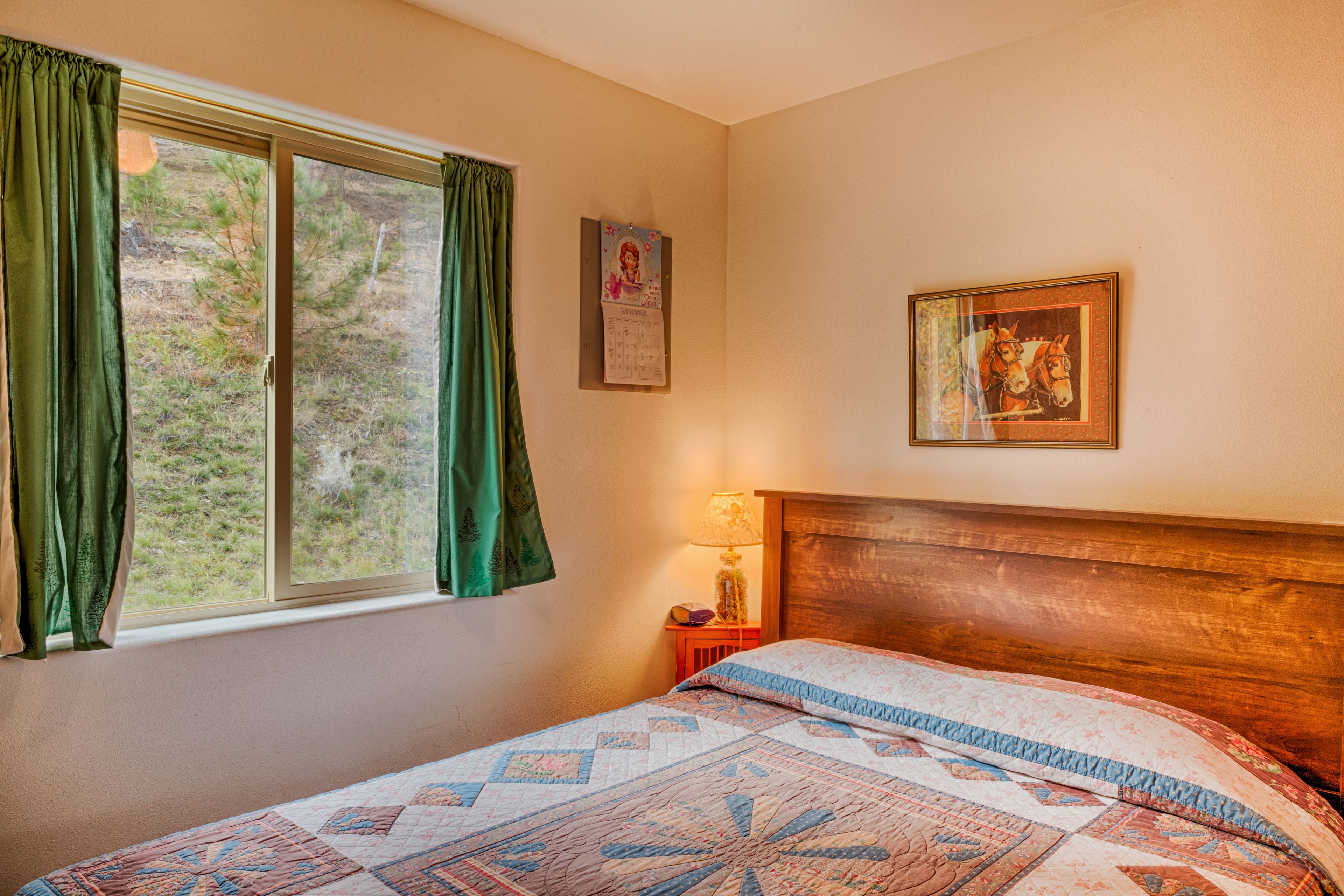 Comfort Cabin, 1 Bedroom, Kitchen, Mountain View