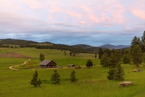 واجهة المنشأة - في المساء/الليل