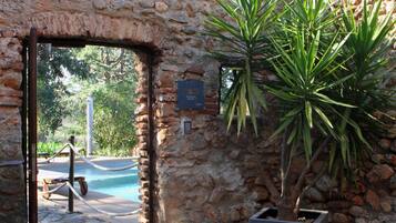 Un arco de piedra que da acceso a una zona de piscina con una planta en maceta a un lado.