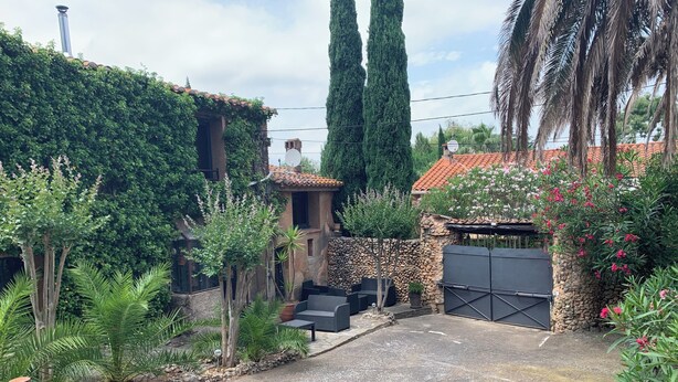 Un patio con pared de piedra, una verja metálica y diversas plantas.