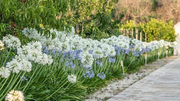 ์๋ฐ ์์ค ๊ตฌ๋ด