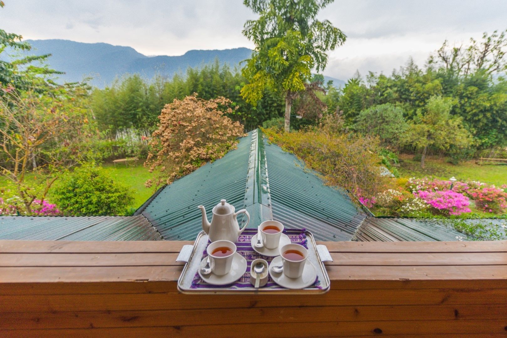 View from property
