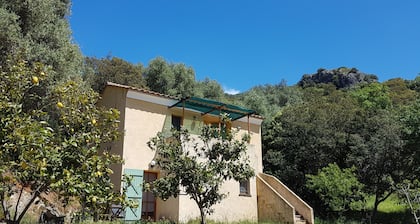 A Casa Di L'Alivu