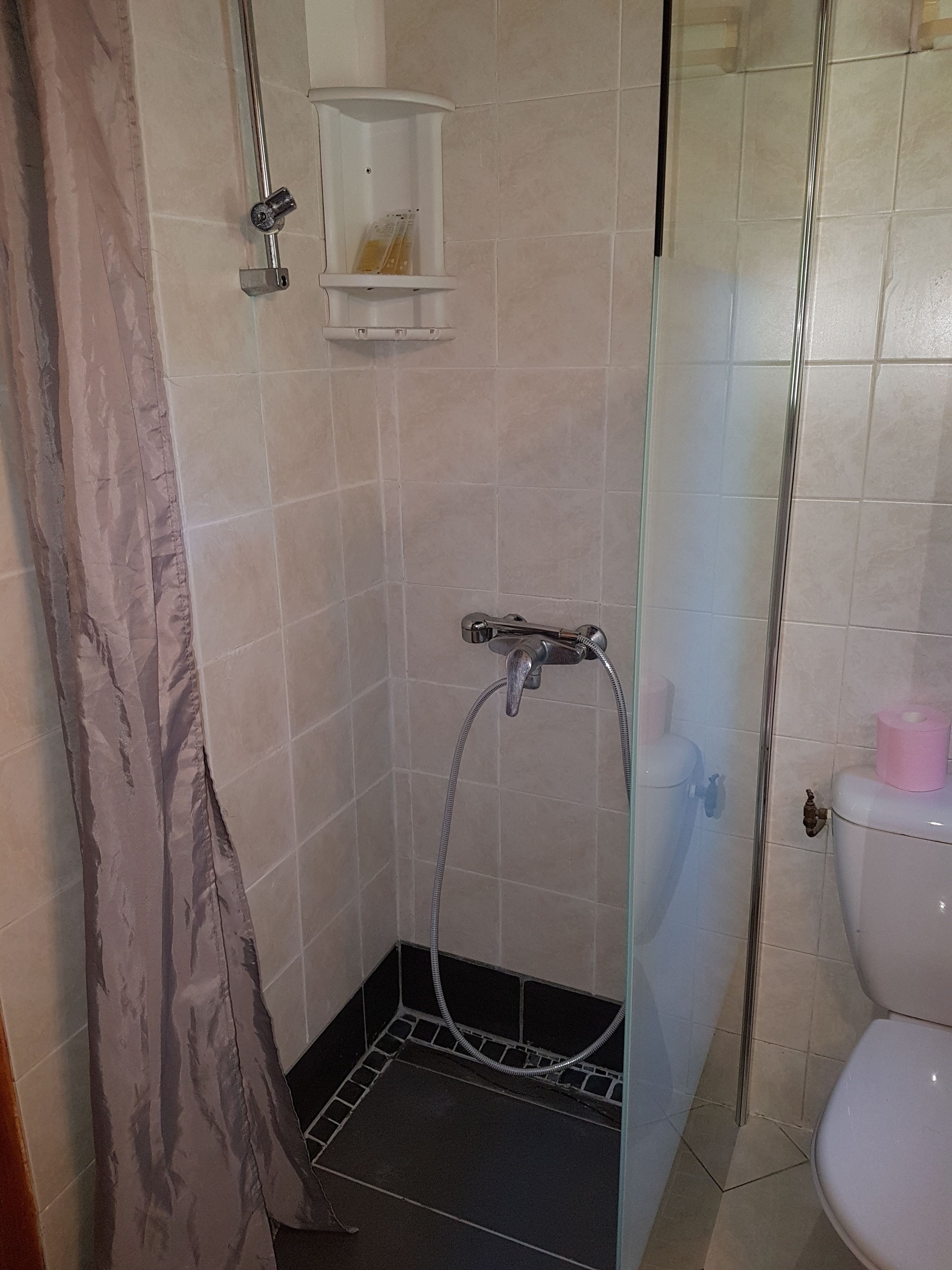 Een kleine, afgesloten douchecel met een glazen deur, een toilet en een handdoekhouder.