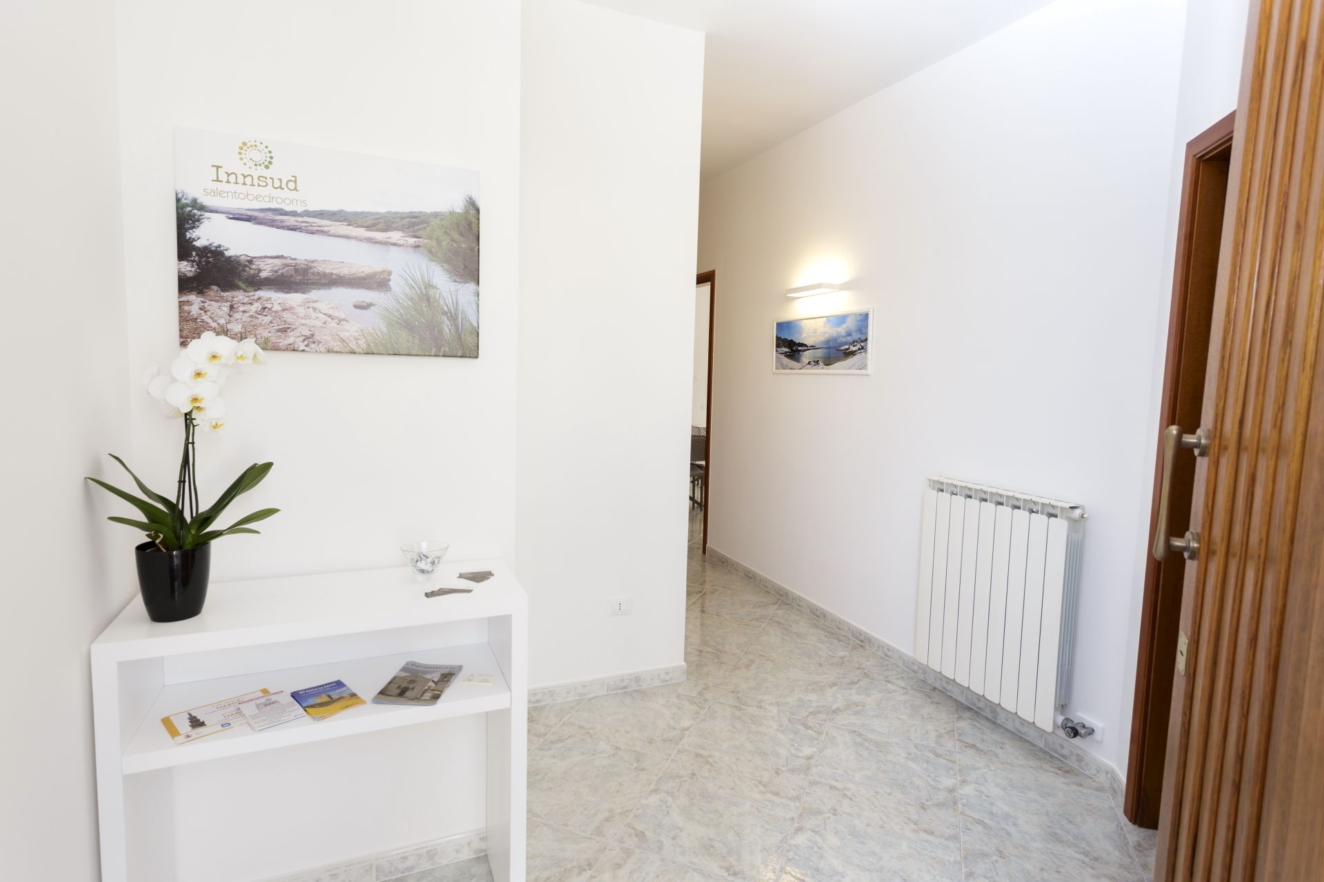 A hallway with a white wall, a potted plant, a small table with brochures, and a radiator.