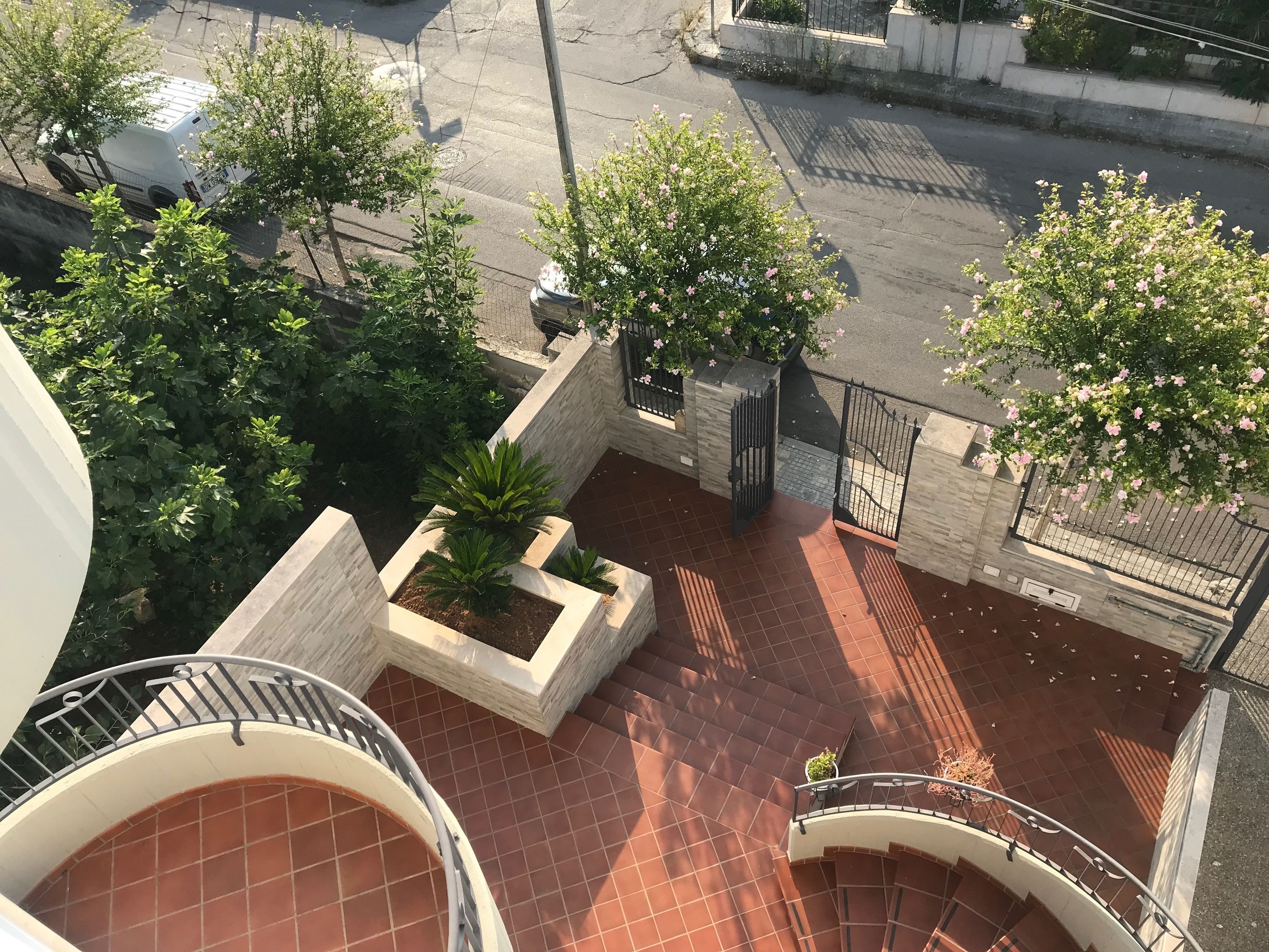 A rooftop terrace with potted plants, a gated entrance, and a view of the street below.