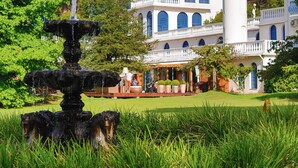 A large, white building with blue windows and a tower, surrounded by lush greenery and a fountain.