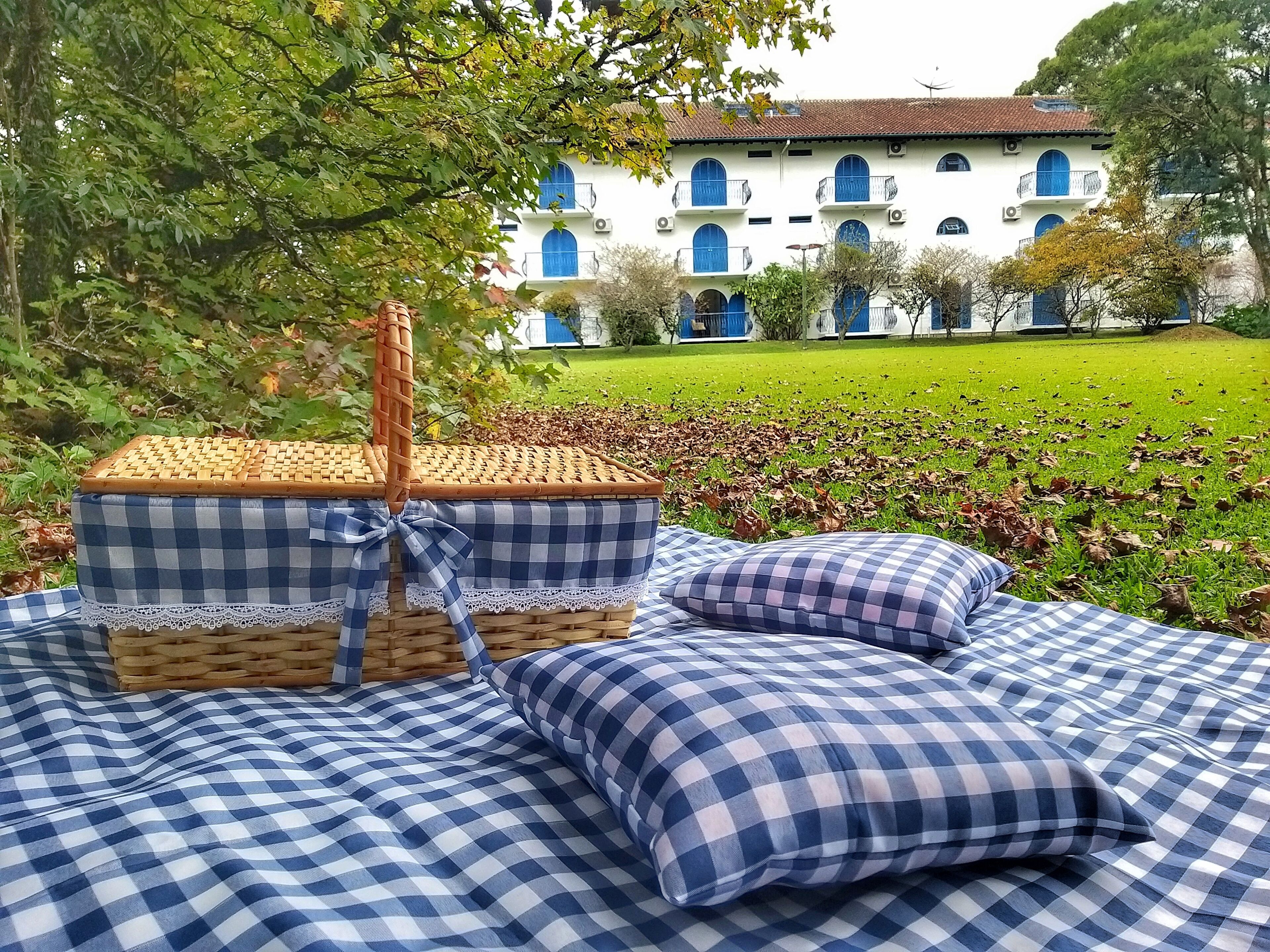 Ein Picknick mit Korb aus Weidengeflecht und karierten Kissen auf einer Rasenfläche, im Hintergrund ein Gebäude.