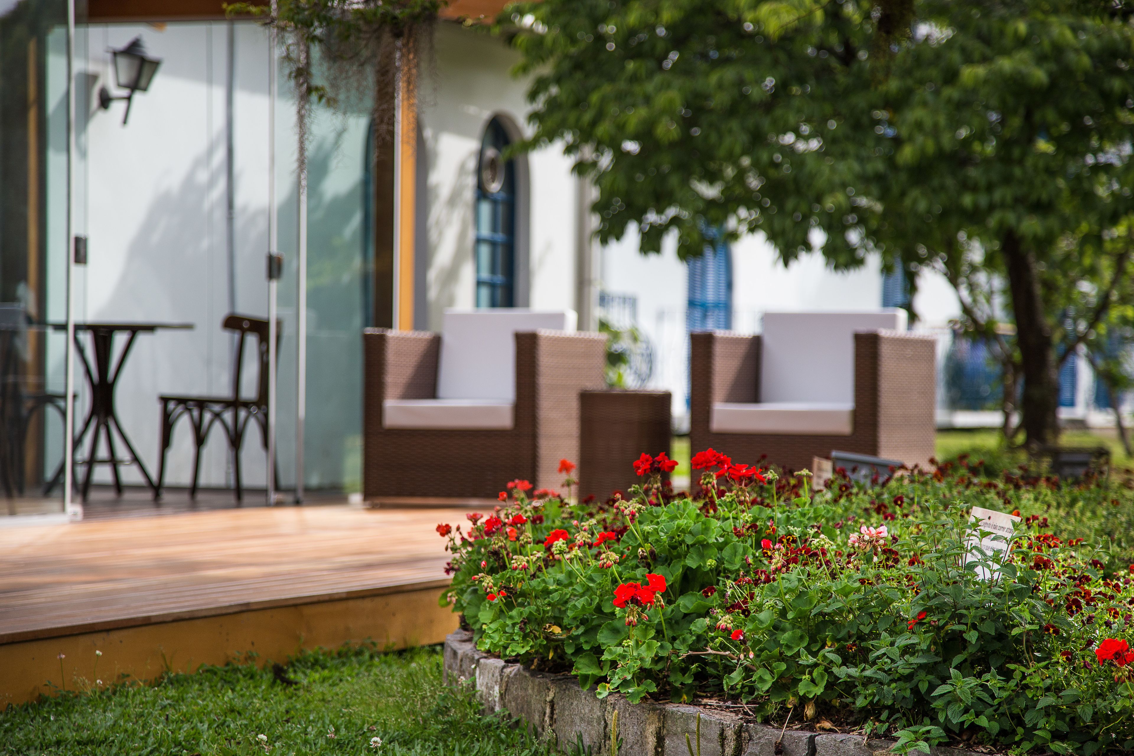 A garden with red flowers and outdoor seating.
