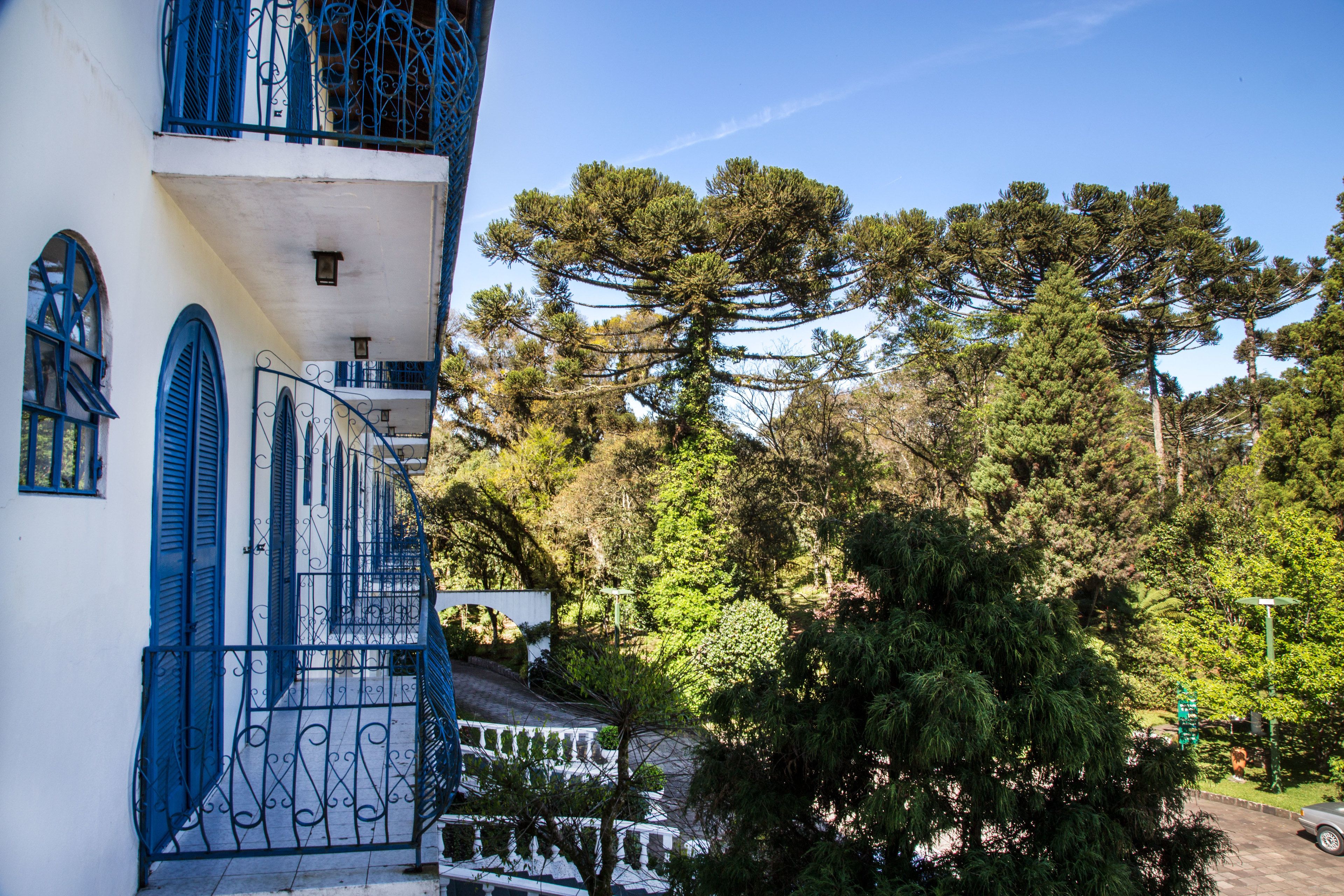 standard apartment | view from room