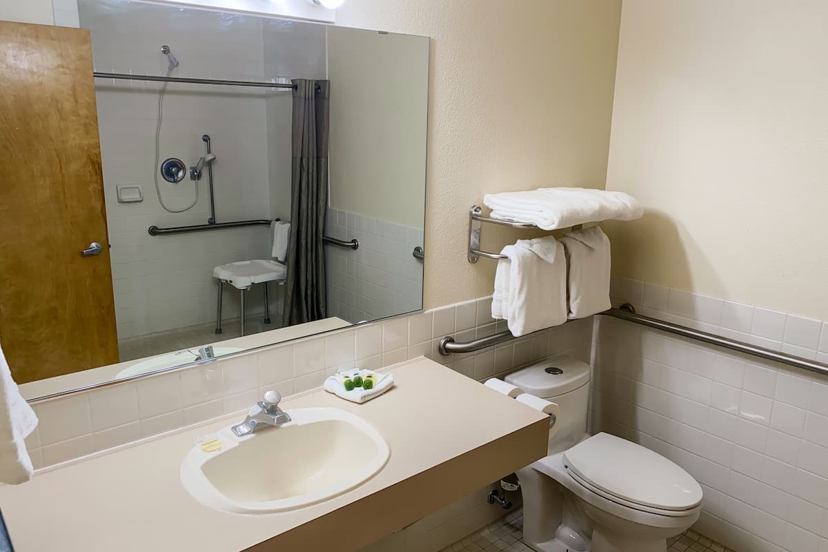 combined shower/bathtub, free toiletries, hair dryer, towels