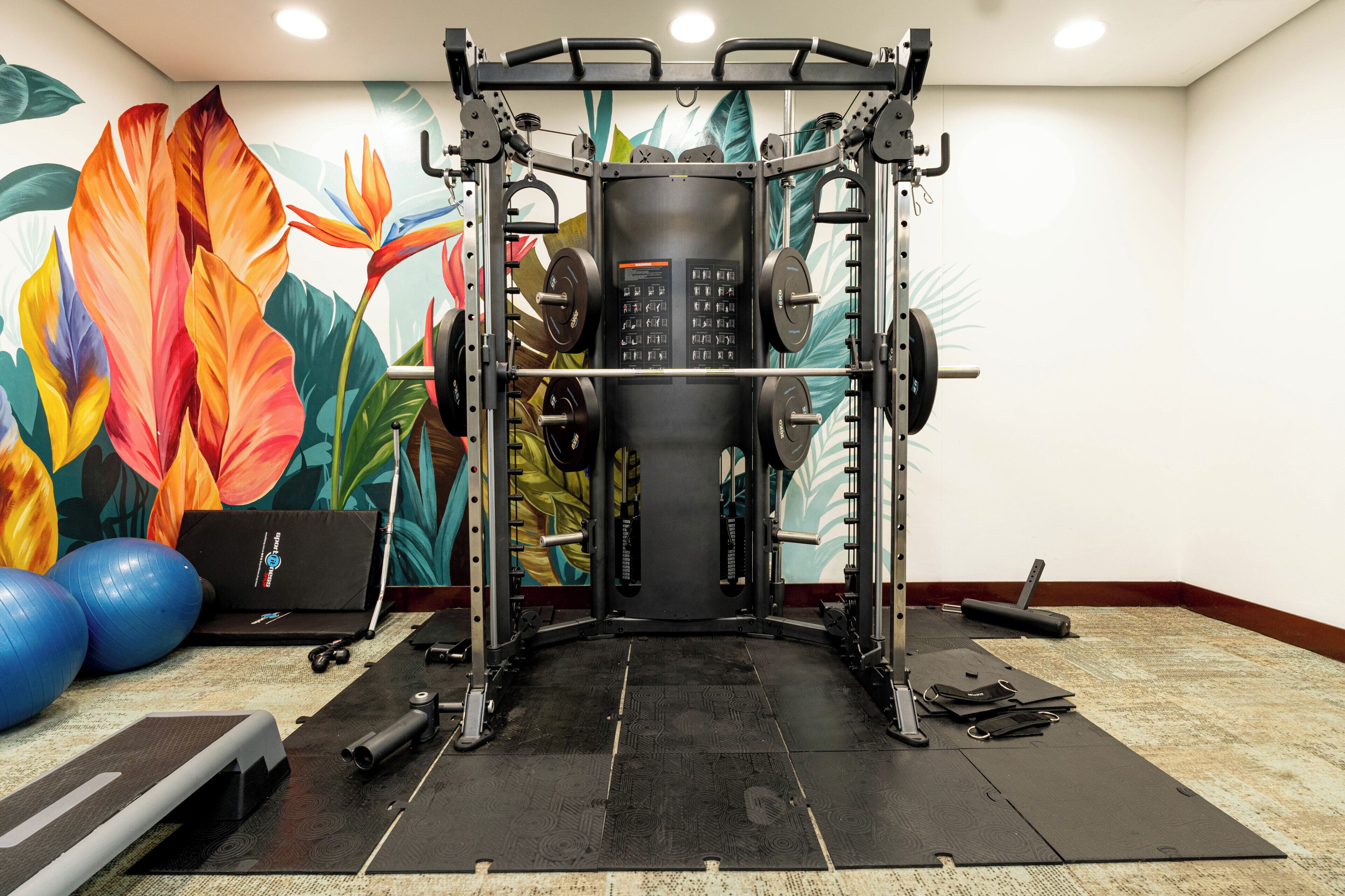 A gym with a weightlifting station, exercise balls, and a colorful mural.