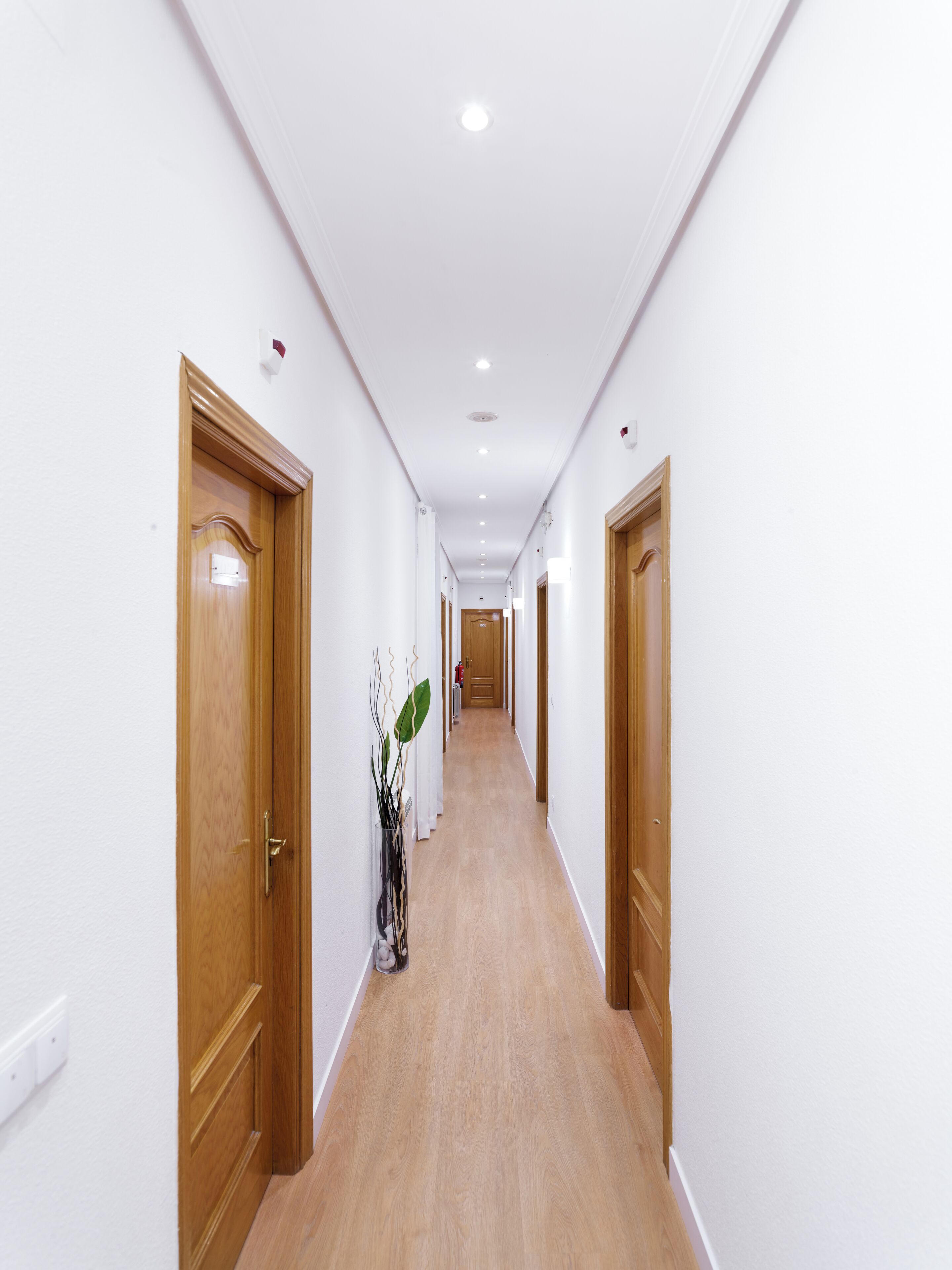 Foto - Hostal Bianco