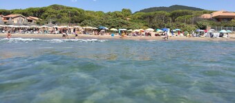 House / Villa - Castiglione della Pescaia House with garden
