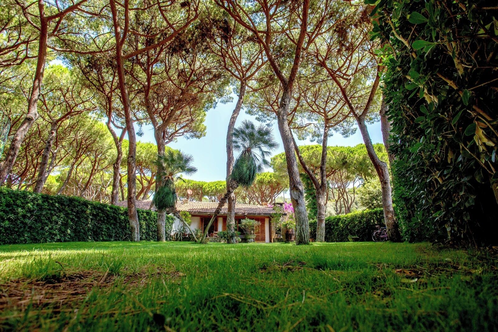 Overnatningsstedets område