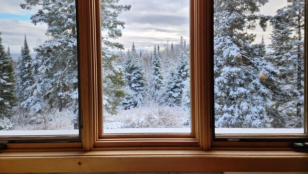 A window with a view of snow-covered trees and a cloudy sky.