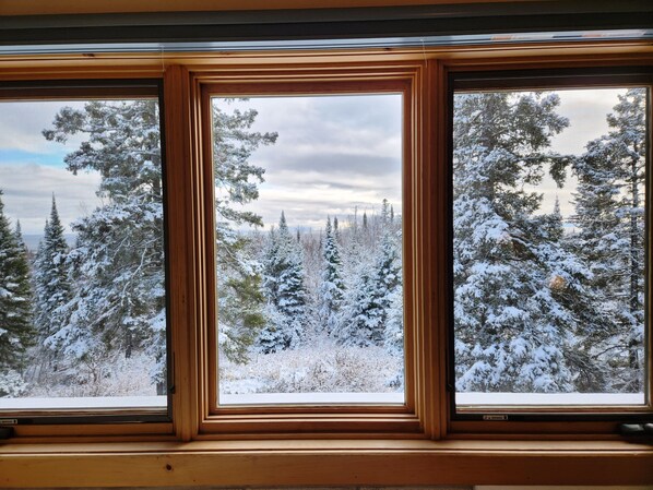 Interior - Lutsen's cutest vacation home between Lake Superior and Lutsen Mountains.  (Lutsen)