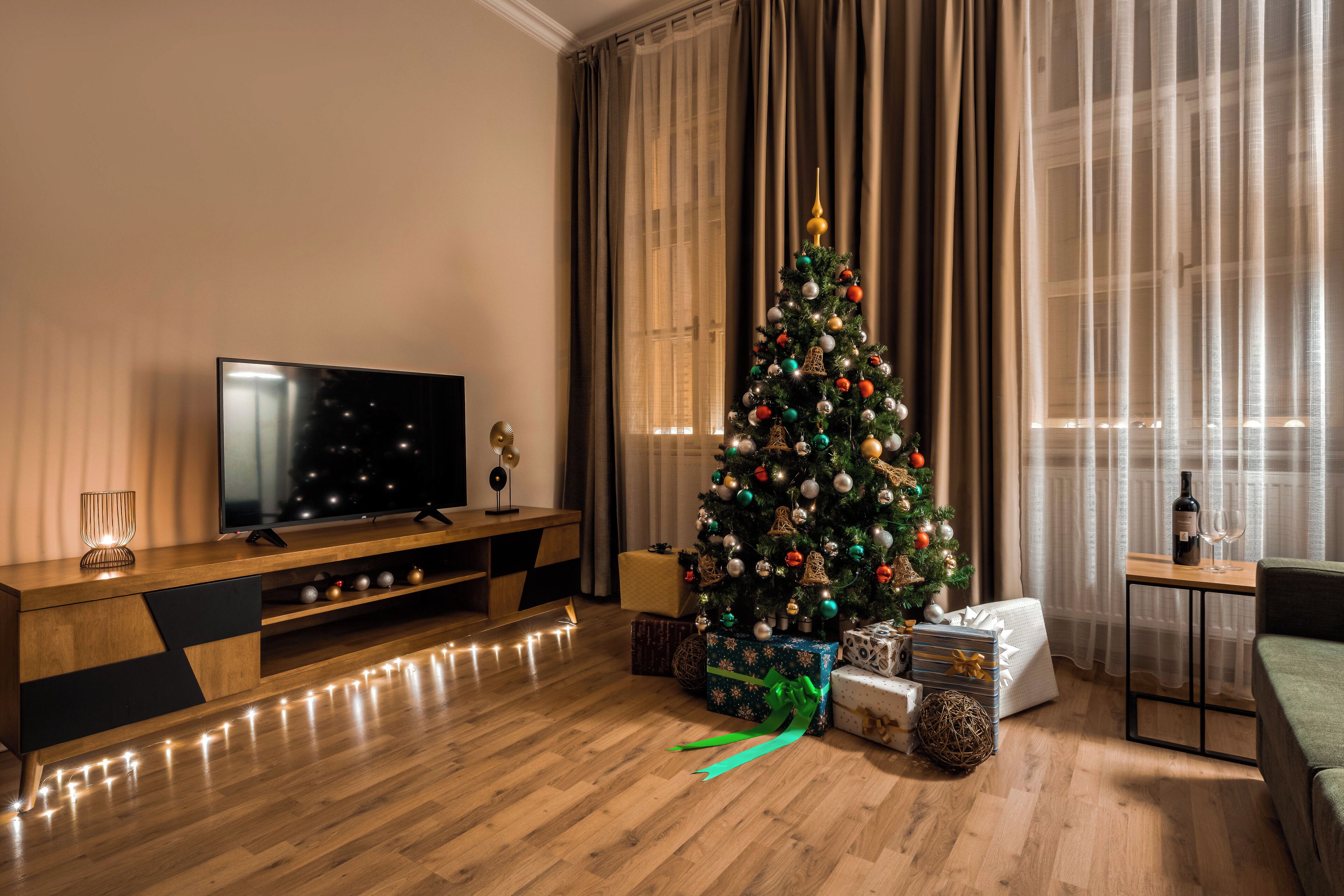 华丽公寓, 1 间卧室 | 起居区 | 电视