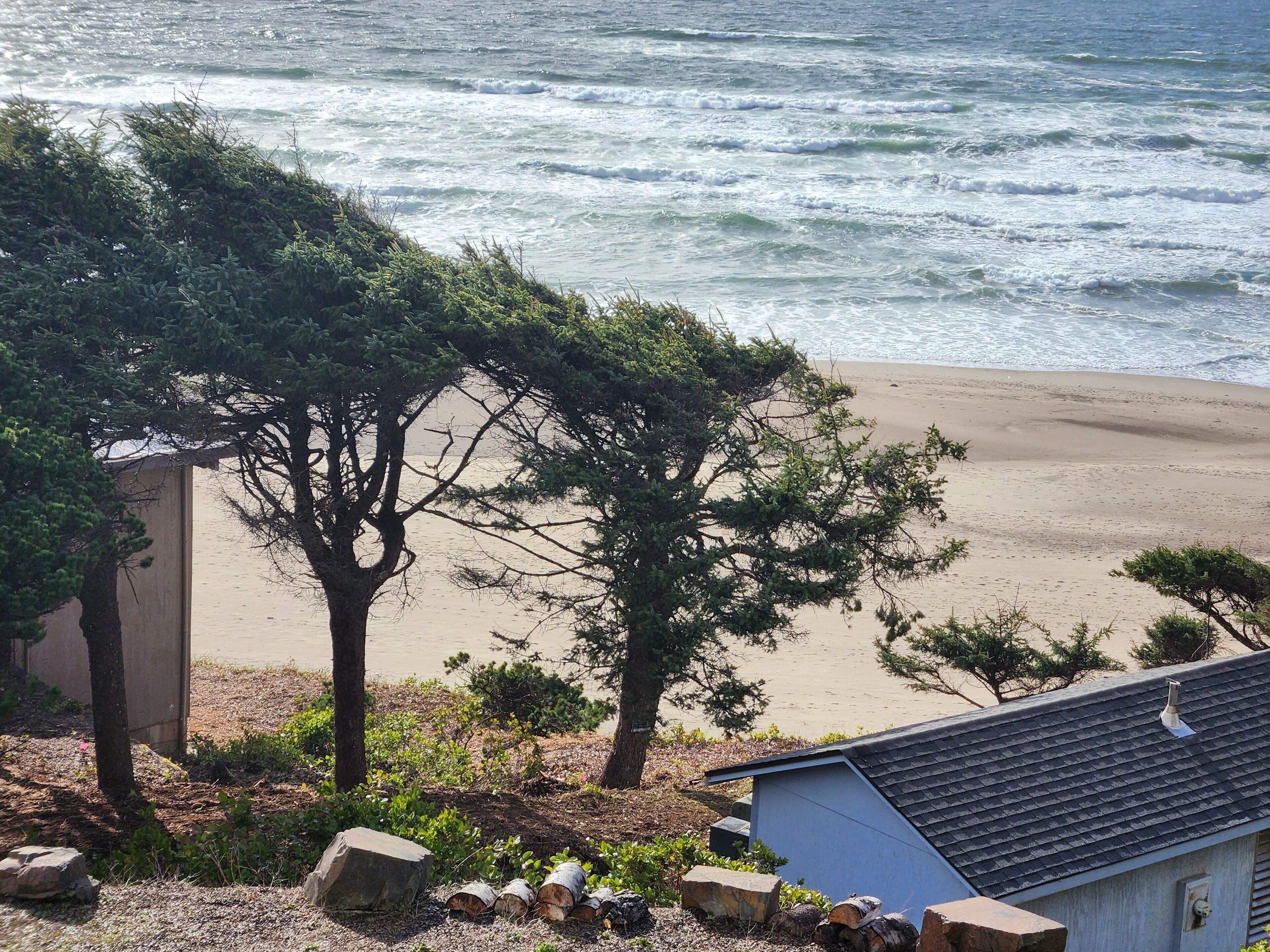 Vista de una playa con una casa y árboles.