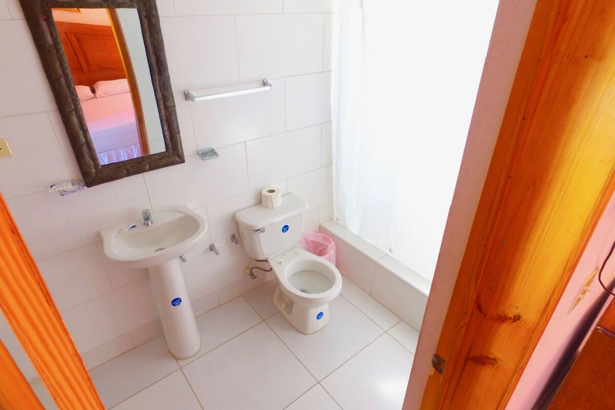 shower, jetted bath, free toiletries, hair dryer