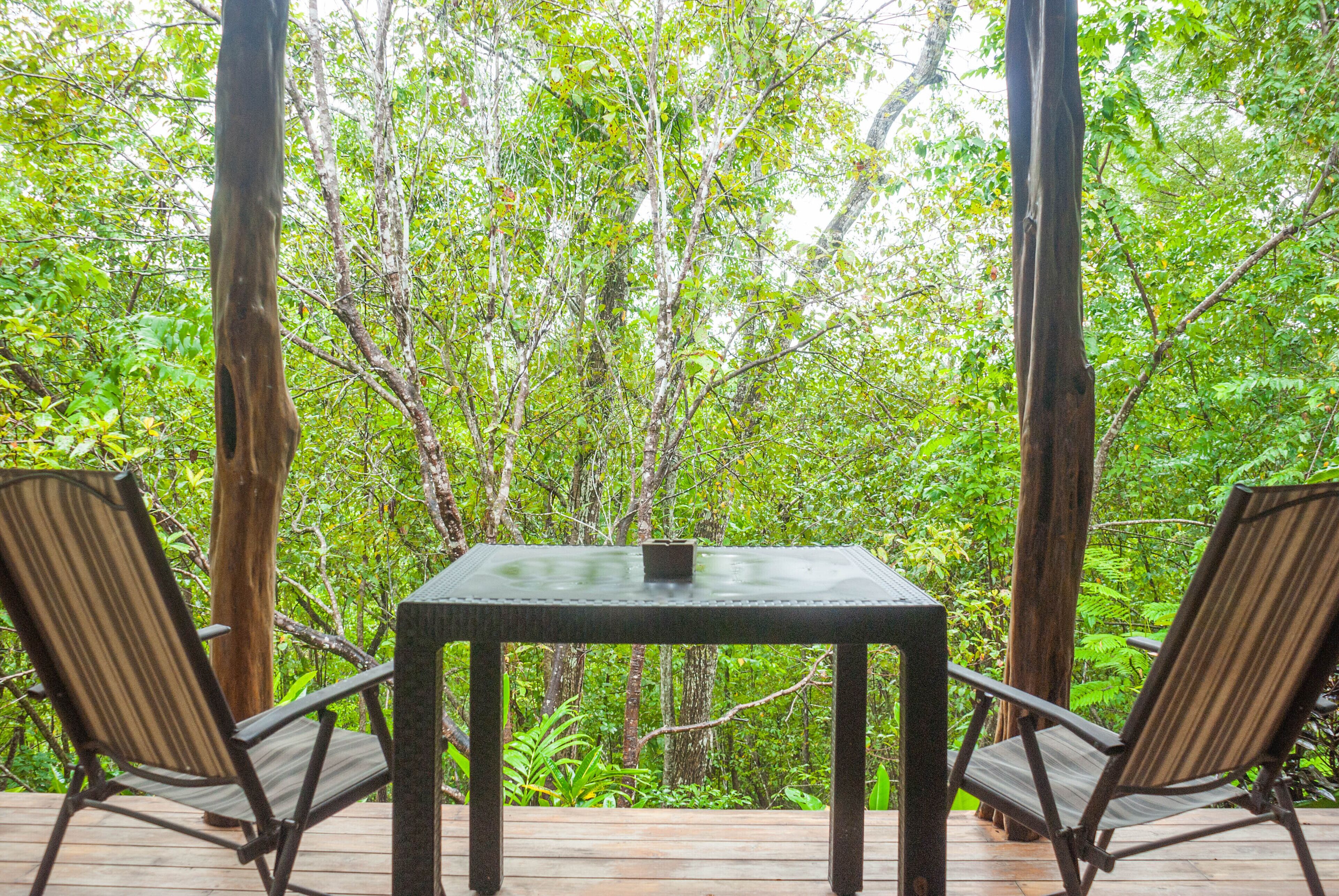 Bungalow – premium, 1 kingsize-seng, ikke-røyk, fjellutsikt | Terrasse/patio