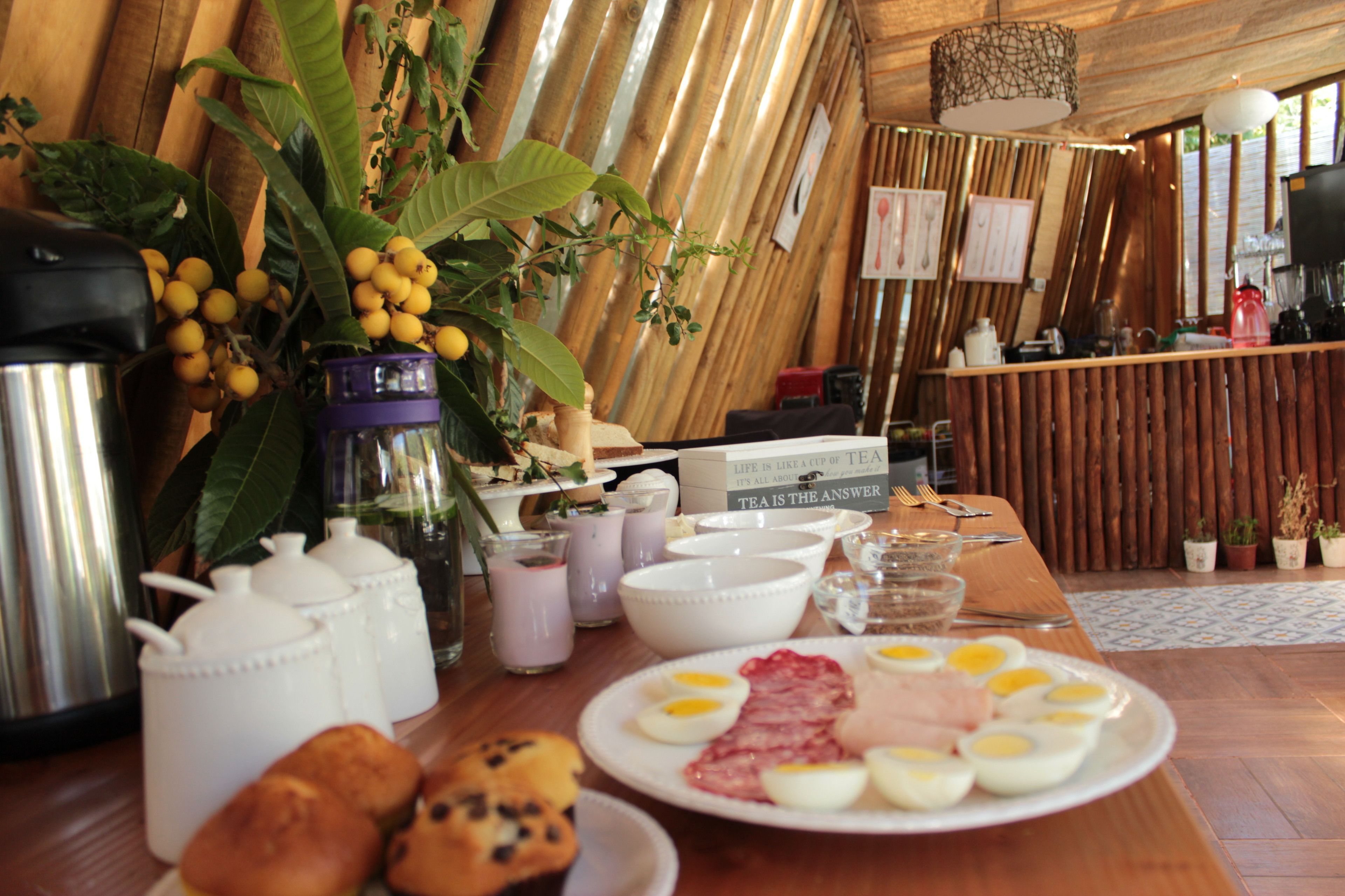 Desayuno bufé gratuito y diario