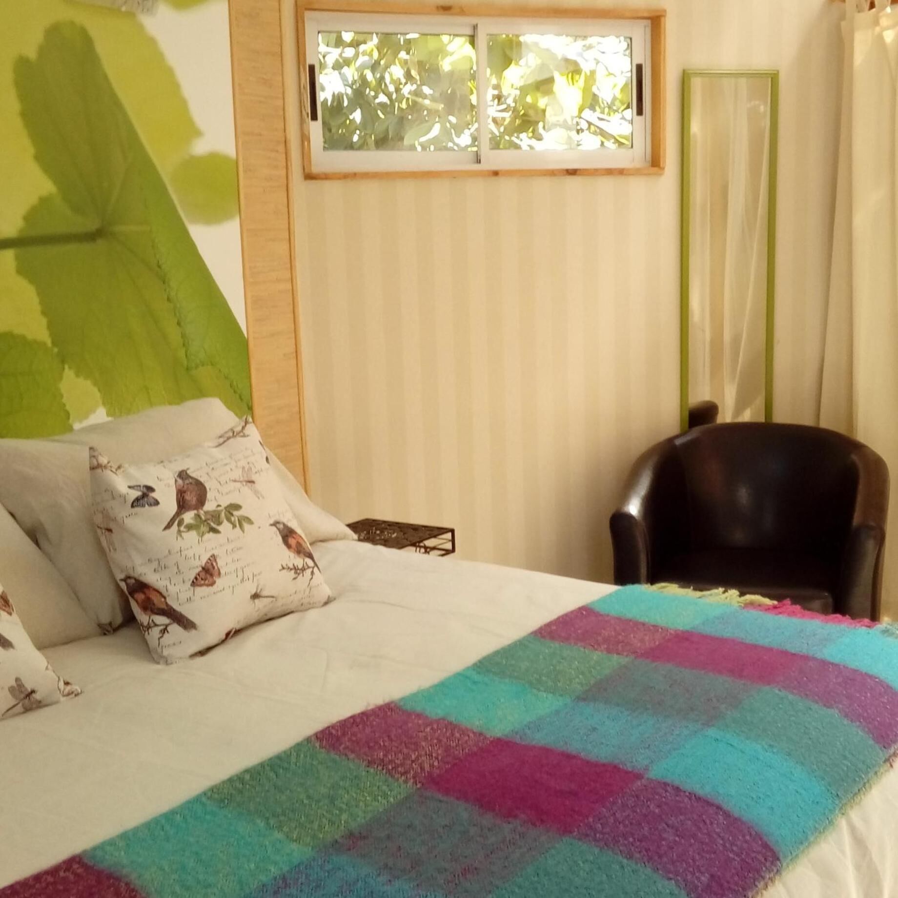 A bed with a colorful blanket, a pillow with bird prints, a window with a view of trees, and a chair.
