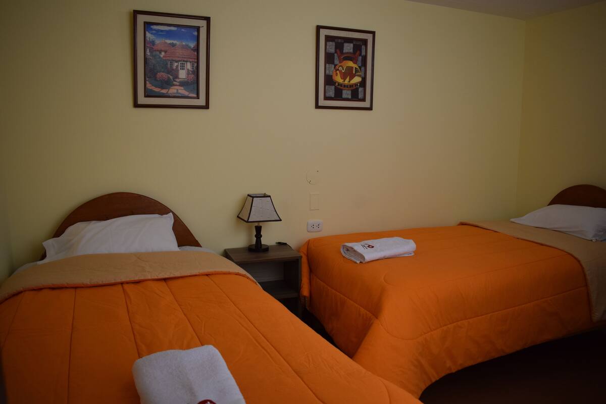 Habitación doble, varias camas, baño privado | Wifi gratis