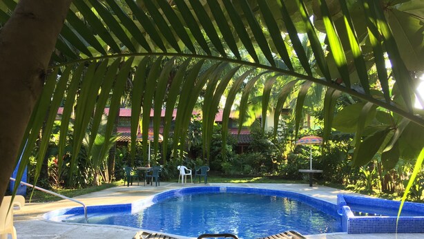 Kolam renang outdoor