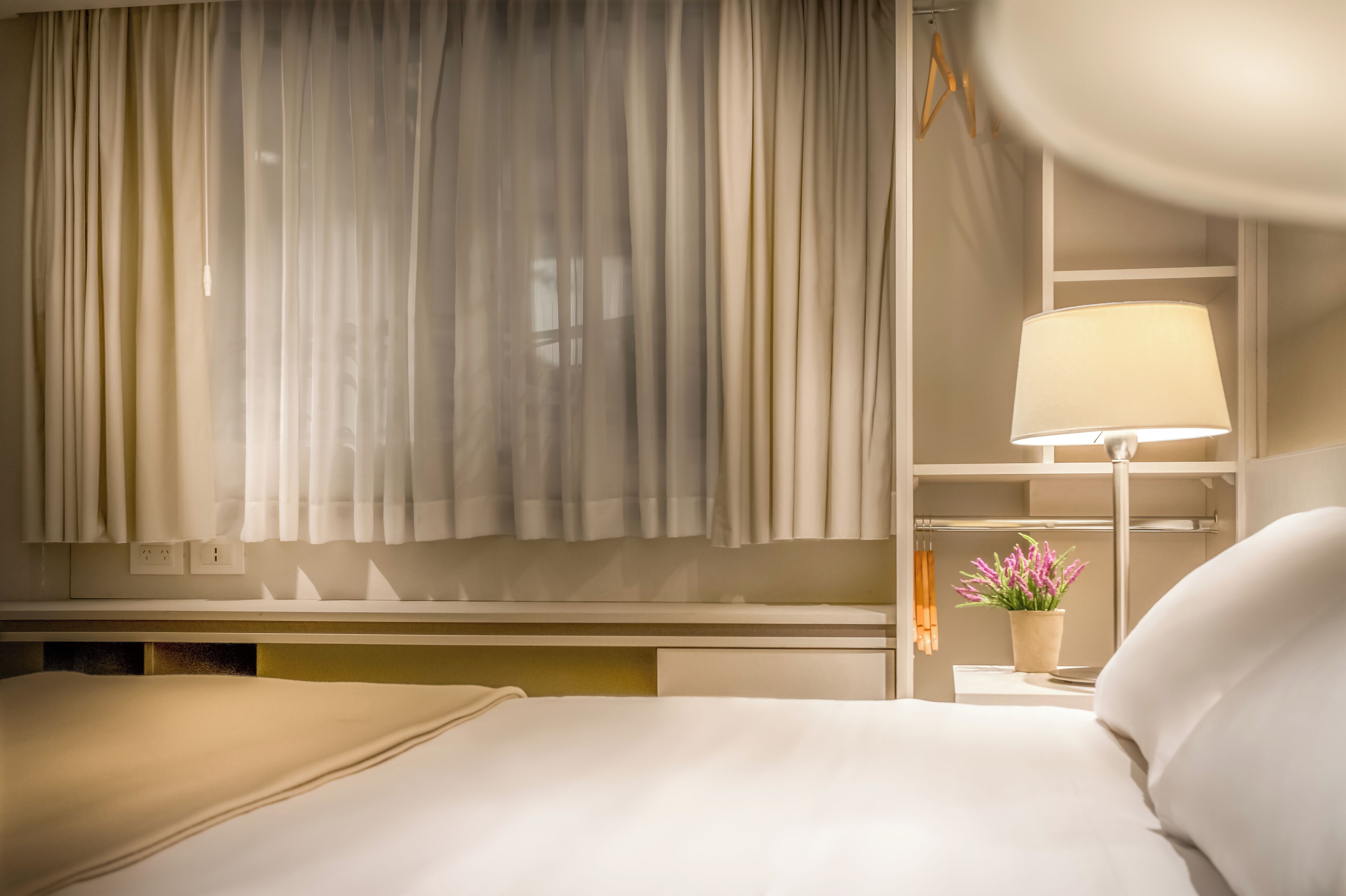 A hotel room with a bed, a bedside table with a lamp, a potted plant, and a window with curtains.