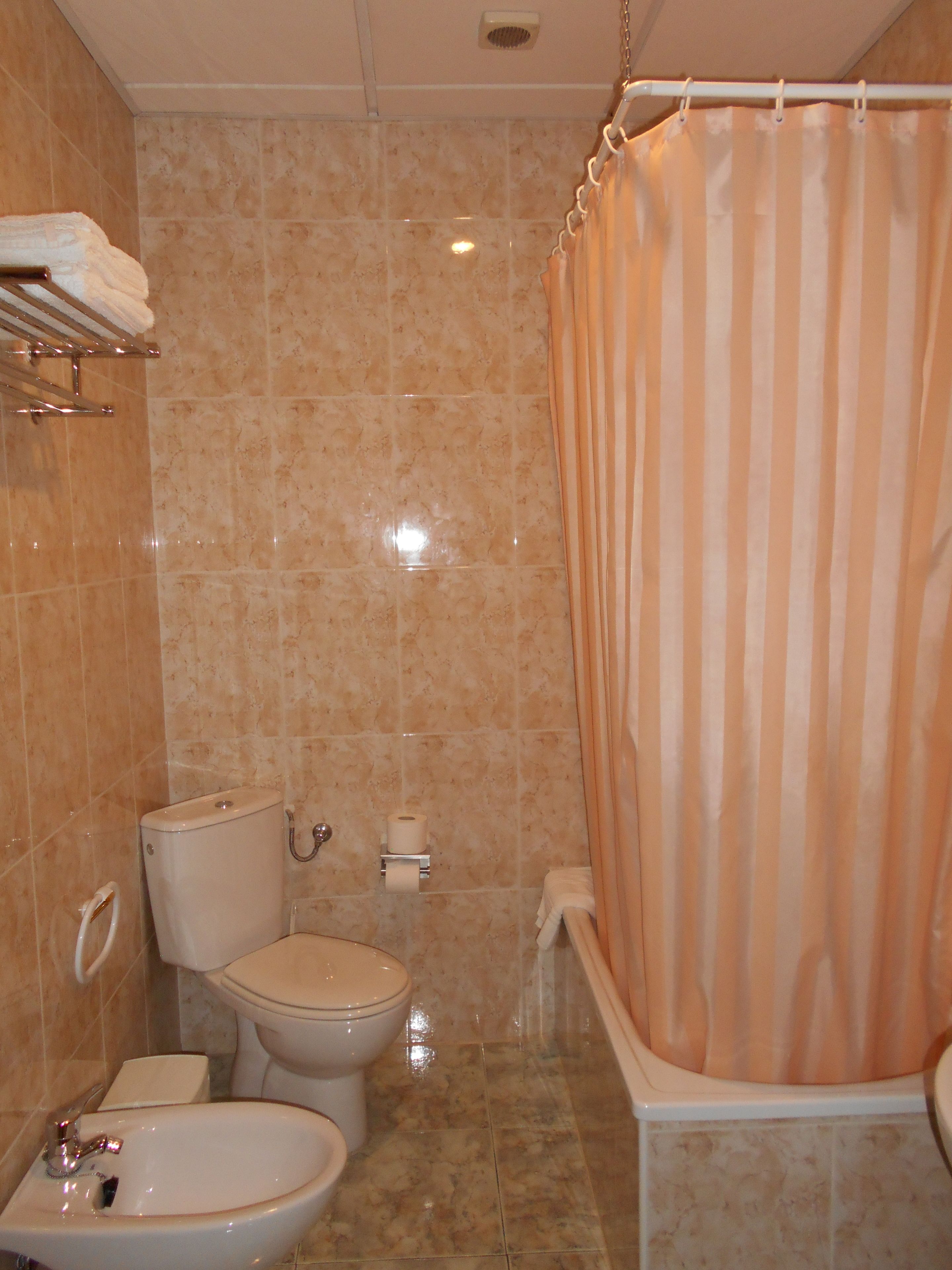 shower, free toiletries, hair dryer, bidet