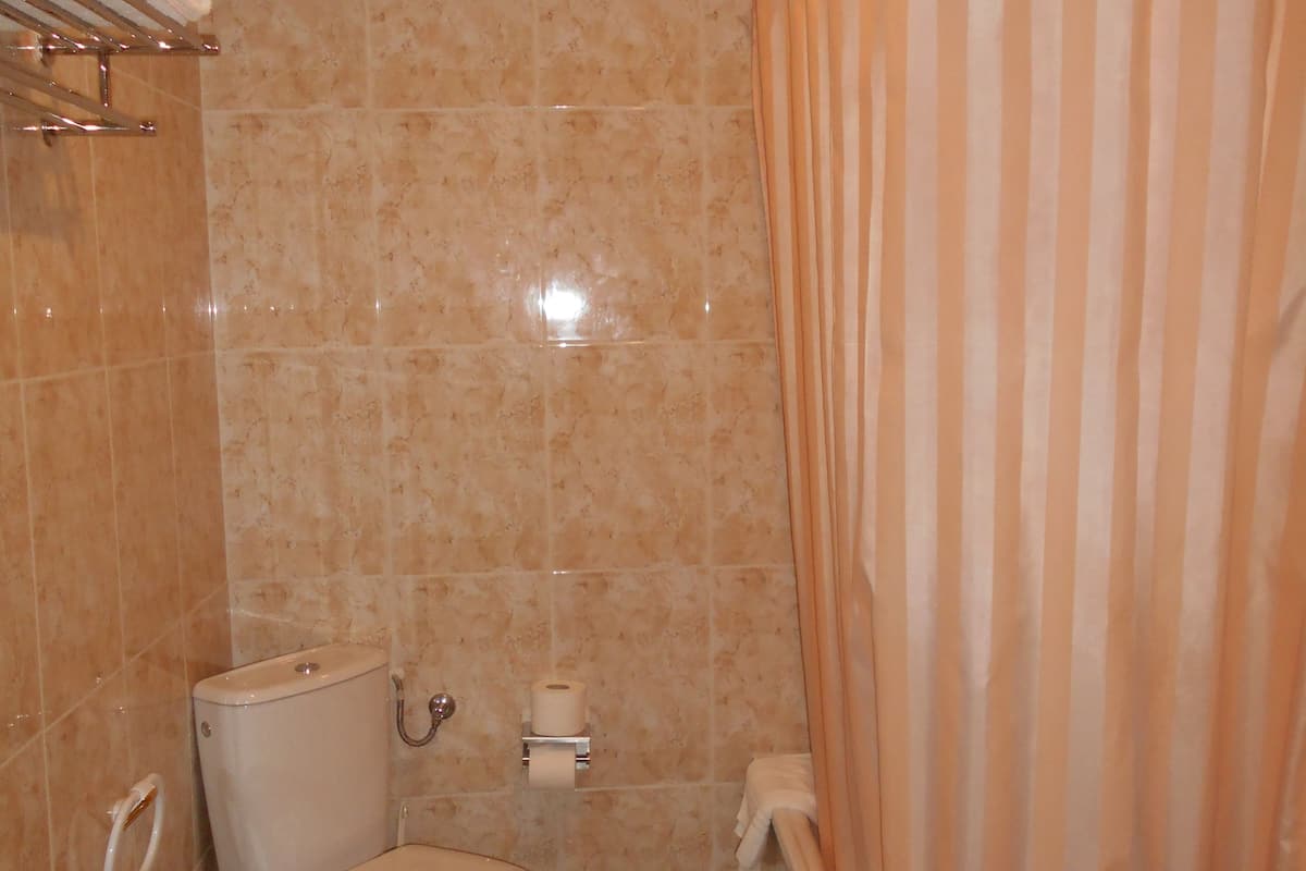 shower, free toiletries, hair dryer, bidet