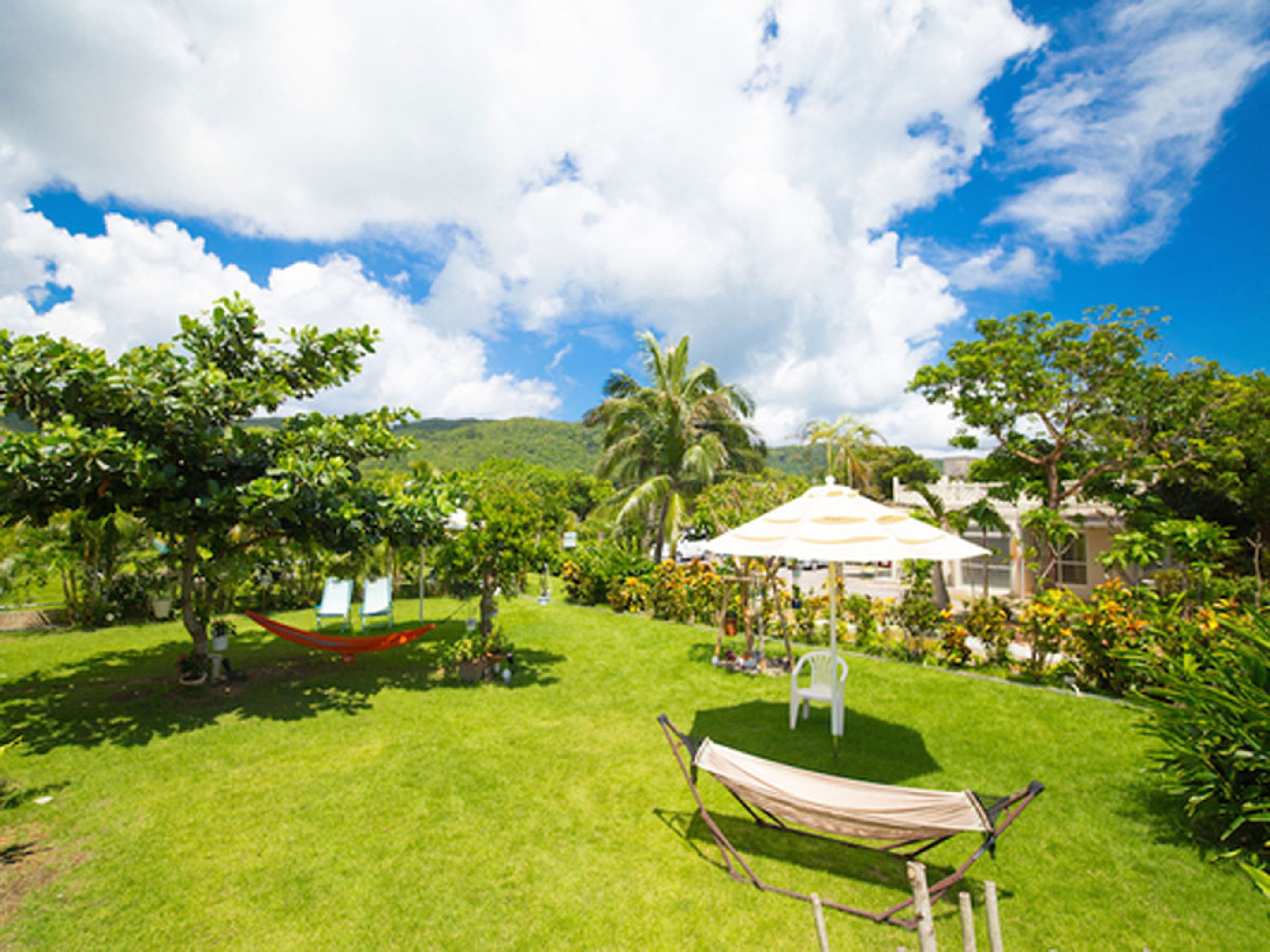 A hammock, a white chair, and a small table in a lush garden with a clear sky.