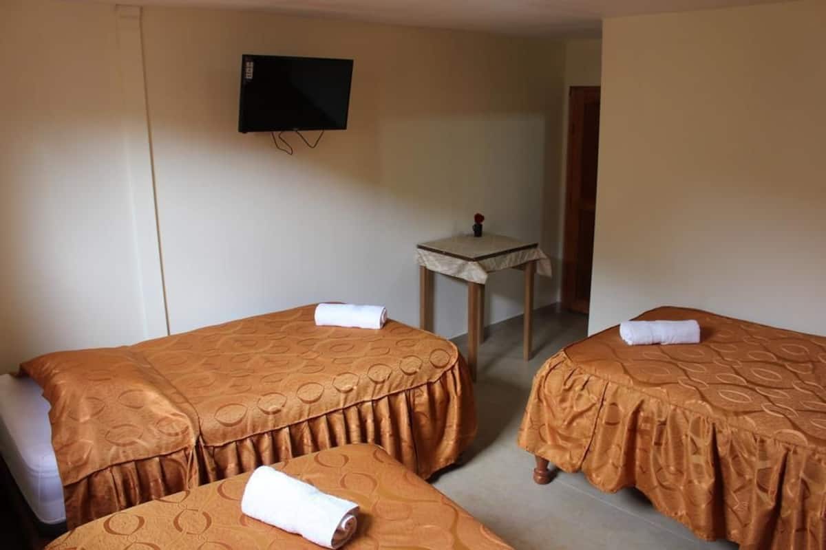 Triple Room | Desk, iron/ironing board, free WiFi