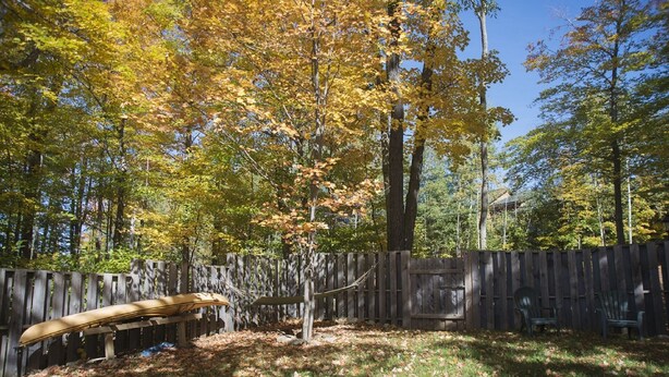 A fenced backyard with a hammock and a bench, surrounded by trees with autumn foliage.
