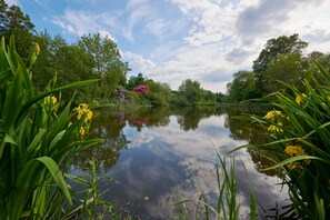 A serene lake surrounded by lush greenery and trees.
