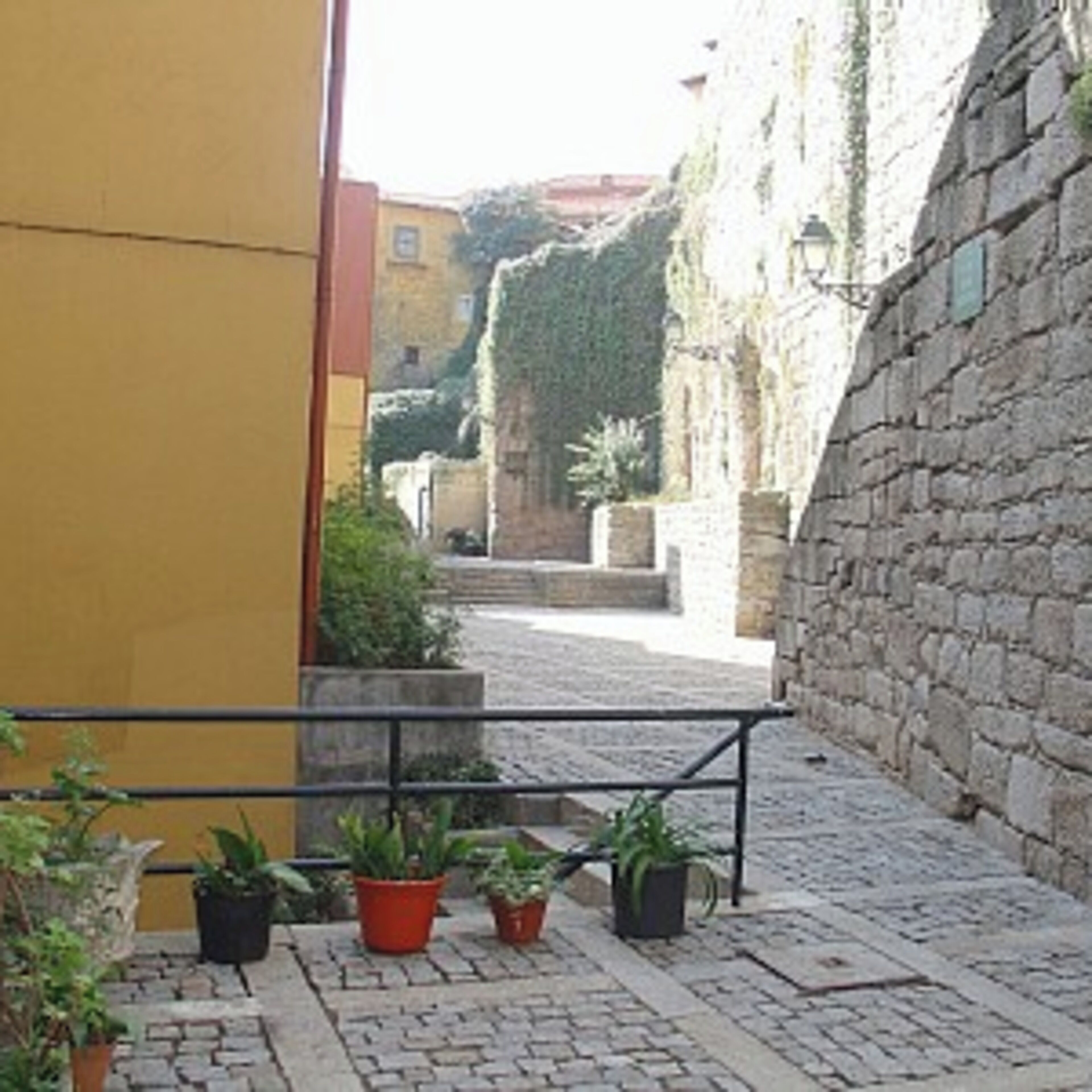 Une ruelle étroite pavée, bordée de plantes en pot et d’un mur de pierre.