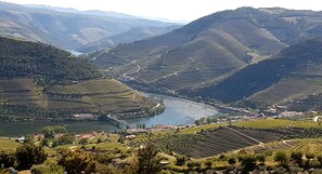 Terraced vineyards, a river, and a bridge.