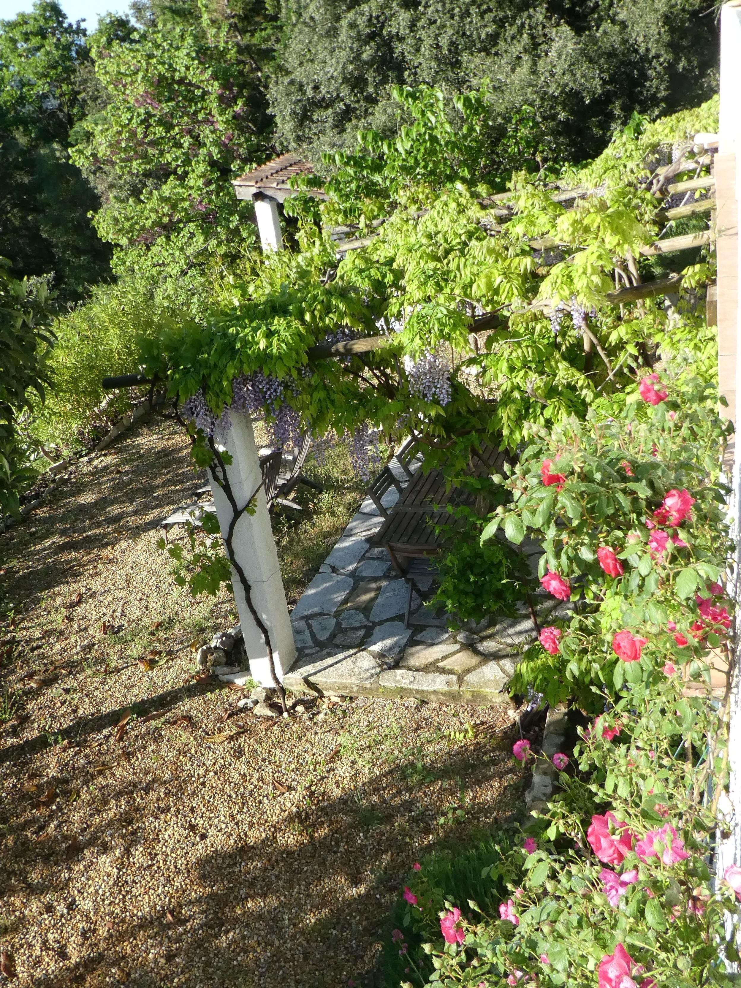 Un jardin avec un sentier de pierres menant à un banc en bois.