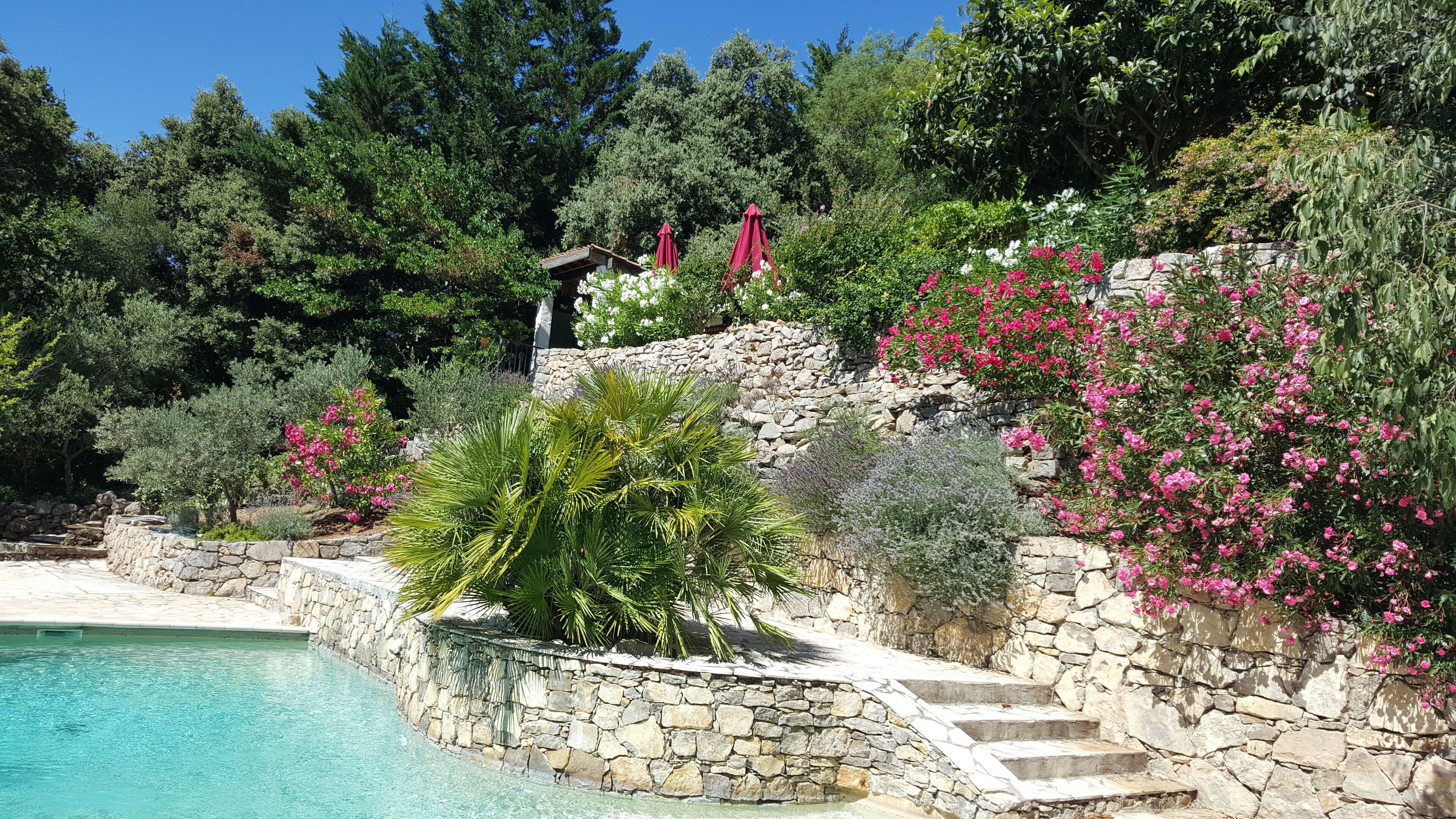 恒温泳池