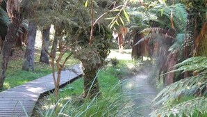 Unclassified image, 2 of 4, button - Golden Springs Motel and Holiday Park (Reporoa)