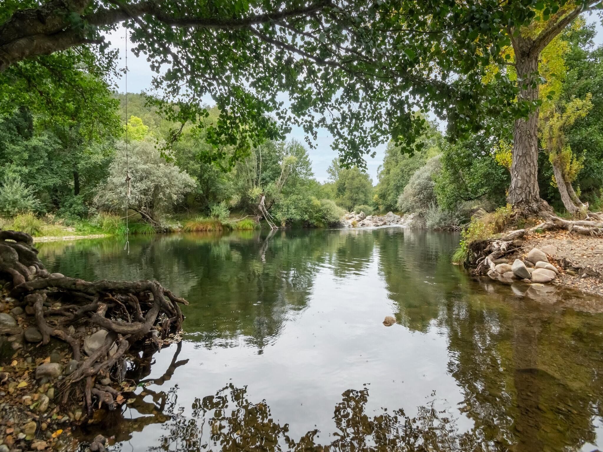 Um rio calmo cercado por vegetação densa e árvores.