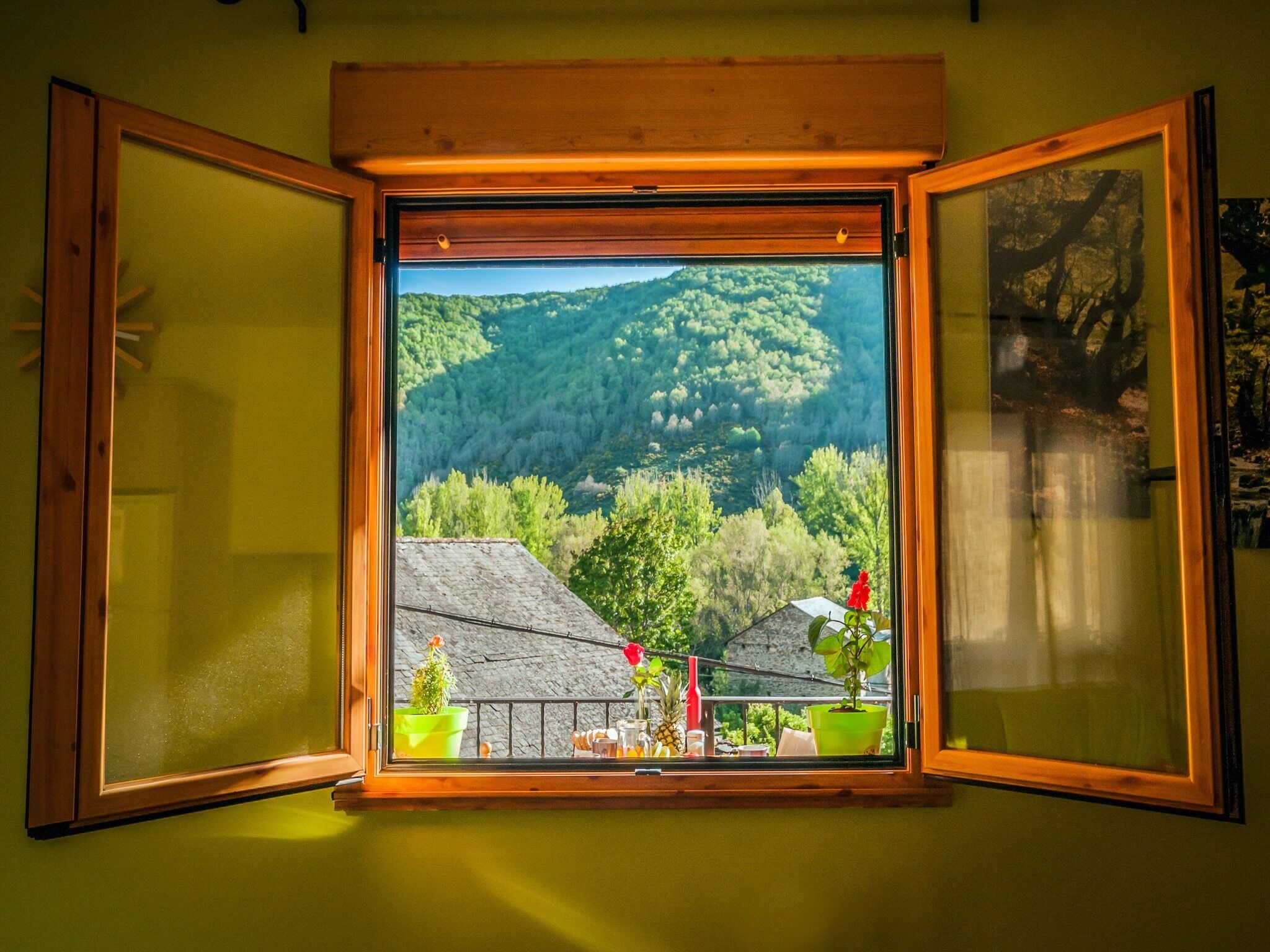 Una ventana con vistas a una ladera boscosa y un balcón con plantas en macetas.