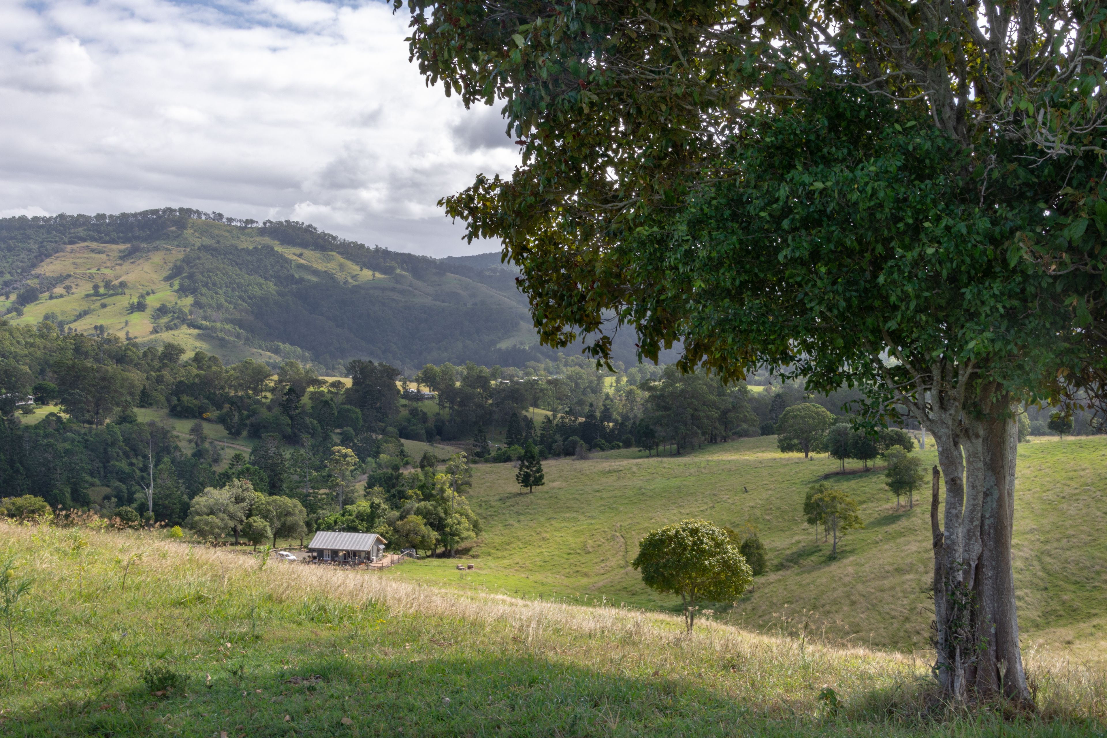 Ländliche Landschaft mit sanften Hügeln, einem kleinen Haus und einem großen Baum.